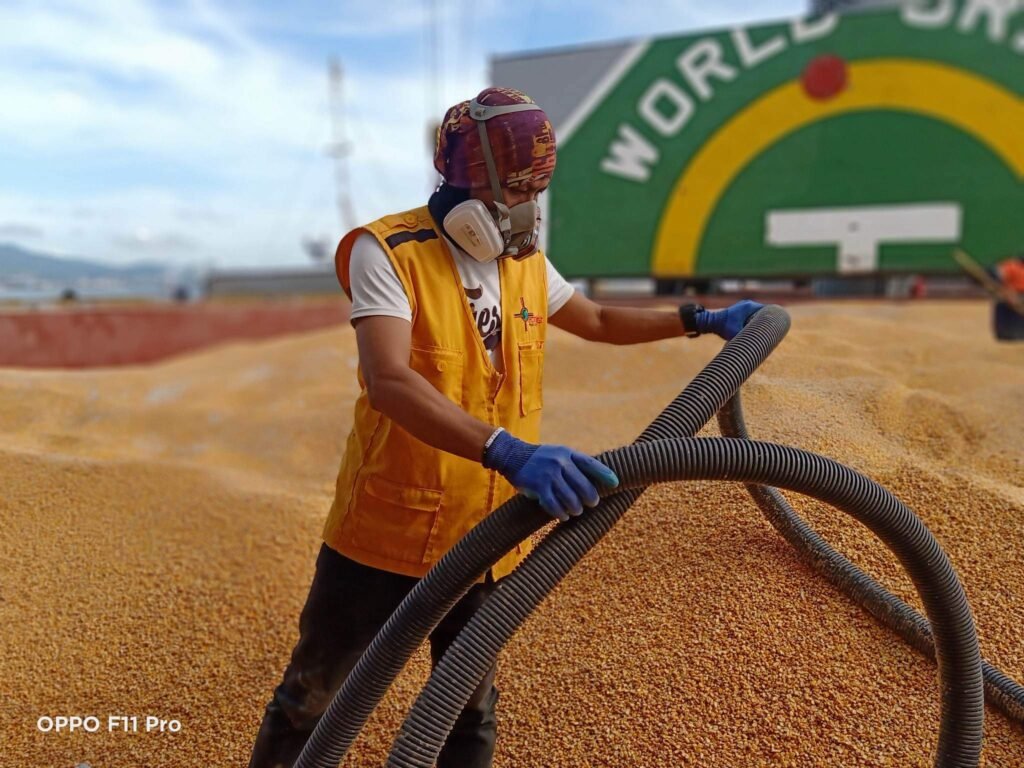Pest control technologist in Bacolod conducting fumigation over grain storage using protective gear and industrial hose