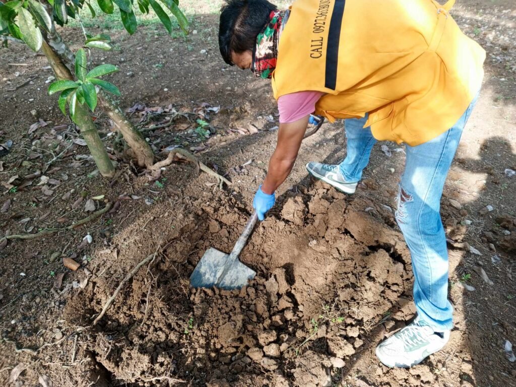 Technologist Pest Control technician in Antipolo digging soil near a tree, wearing safety gear and gloves, preparing ground for termite barrier installation or pest inspection