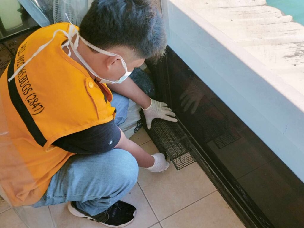 Technologist Pest Control technician placing a metal rodent trap near a wall base, wearing gloves and mask for safe, humane pest control in an indoor tiled environment.